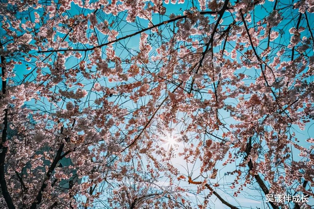 三岔五|别人请你吃饭,请牢记“三个不要”,否则人缘会越来越差