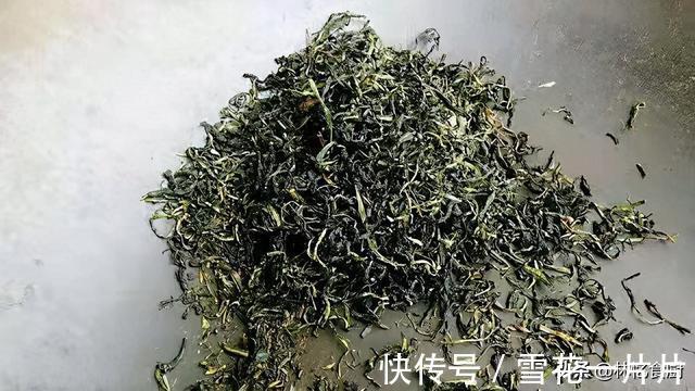 夏季|蒲公英可以直接晒干泡茶吗?弄清楚才能喝得放心,夏季消暑必备