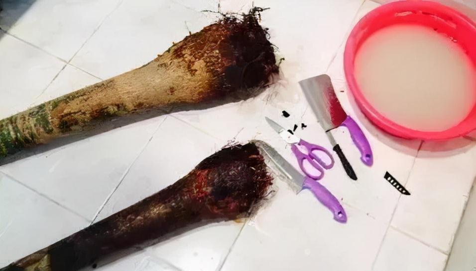 别人把枯树都扔了,捡回来一顿大刀,30天撑起一个客厅