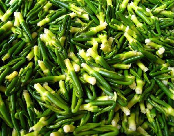 常吃|煮南瓜加一宝，女性常吃，清肠排毒，便秘好了，赘肉悄悄溜走！