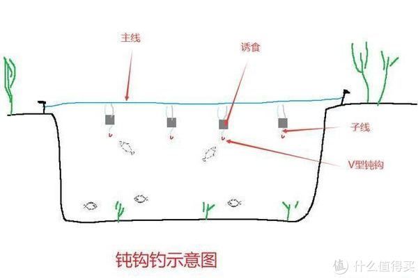 子线|既无钩尖也无钓饵，详解东北民间钓法钝钩钓，如何钓获野生大鲤鱼