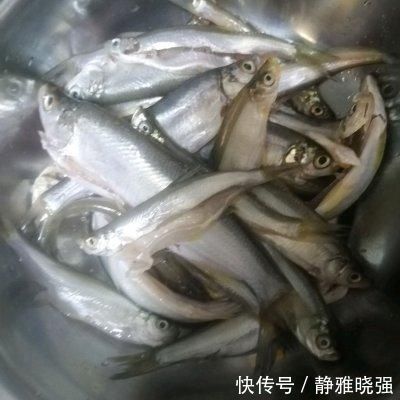 好吃到飞起的油炸白条鱼,这样做0失败