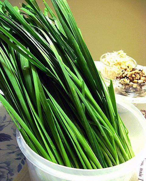 翠绿|包韭菜饺子,直接拌馅是大错特错,多加1步,韭菜翠绿,还不出水