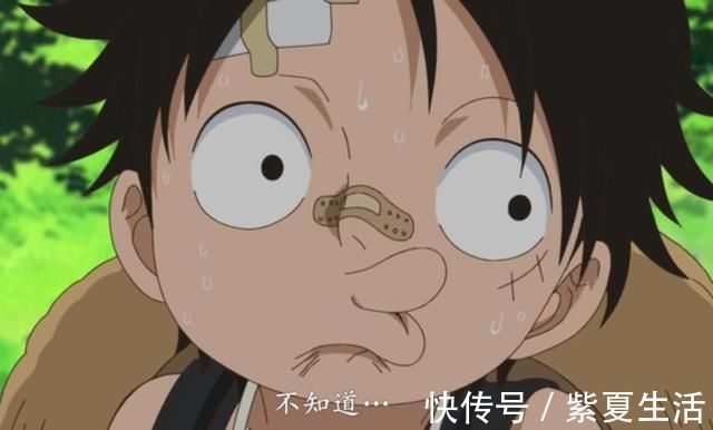 身世伏笔|海贼王：尾田承认香克斯的身世伏笔，香克斯天龙人的身份基本实锤