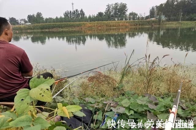 老爷爷|十几年的钓鱼经历，认识了4种“另类钓友”，大幅拓宽了垂钓边际