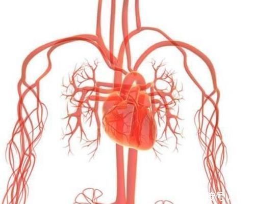 肠胃|50岁后,若能熬过3道“坎”,长寿或会偏爱你,分享给有缘人!
