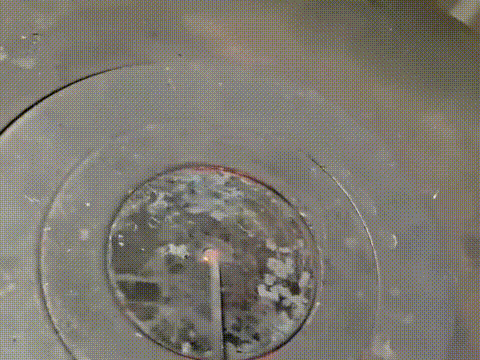 |搞笑GIF趣图姑娘,该放手时需放手,不然会摔得很痛!