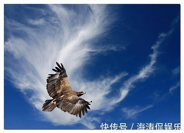 毛主席!毛主席这首词,惊世骇俗,千古以来,没人敢这样写