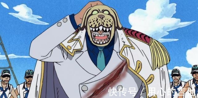 海军|海贼王知识!关于卡普的4个冷知识,最初的职业设定是大海贼