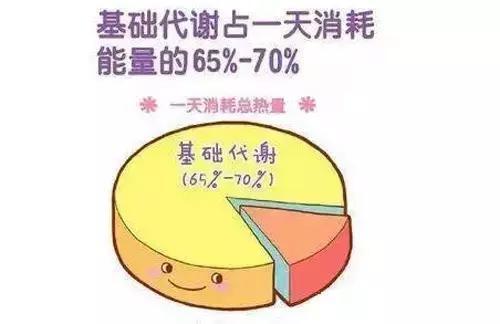 基础代谢率不知道还能减肥提高代谢率7个方法 都是减肥捷径 快资讯