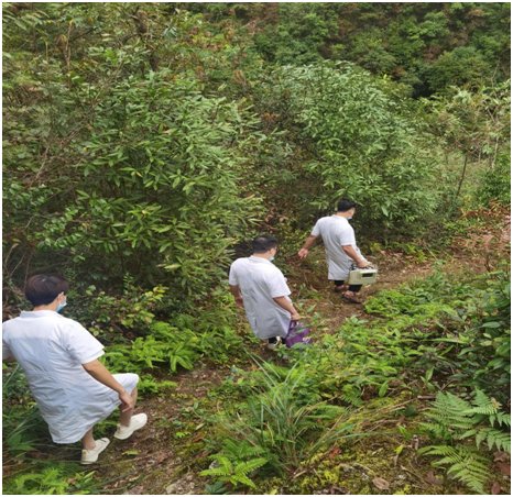 体检|爬山越岭！“医”心为“您”送健康