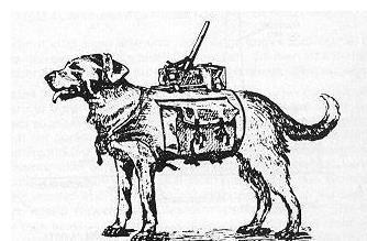 苏军|脑洞不止大还奇葩？二战时期的苏联反坦克犬和德国反坦克驴传奇