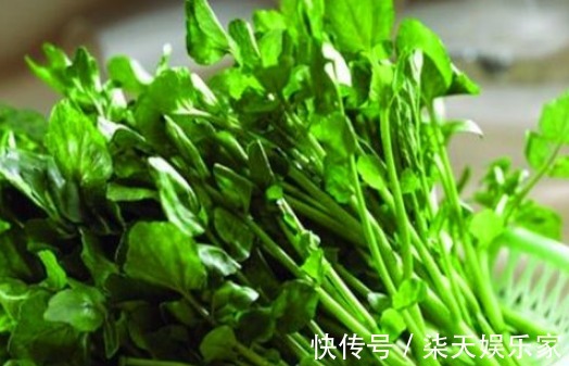 老少皆宜|女性不想显老，不妨多吃以下的食物，补血益气，延缓衰老