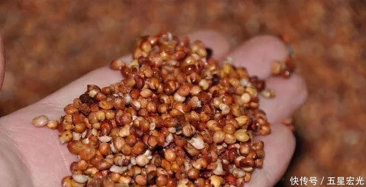 粮食为原料|都说粮食酒才是好酒,那什么样的才叫粮食酒