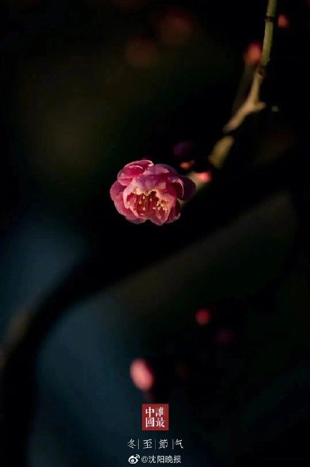 大吉日$冬至日 祝您浅喜暖望、岁月无忧!