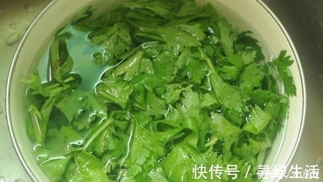 夏天, 别再做韭菜馅了, 5毛钱一斤的它, 利尿排毒, 最适合包饺子