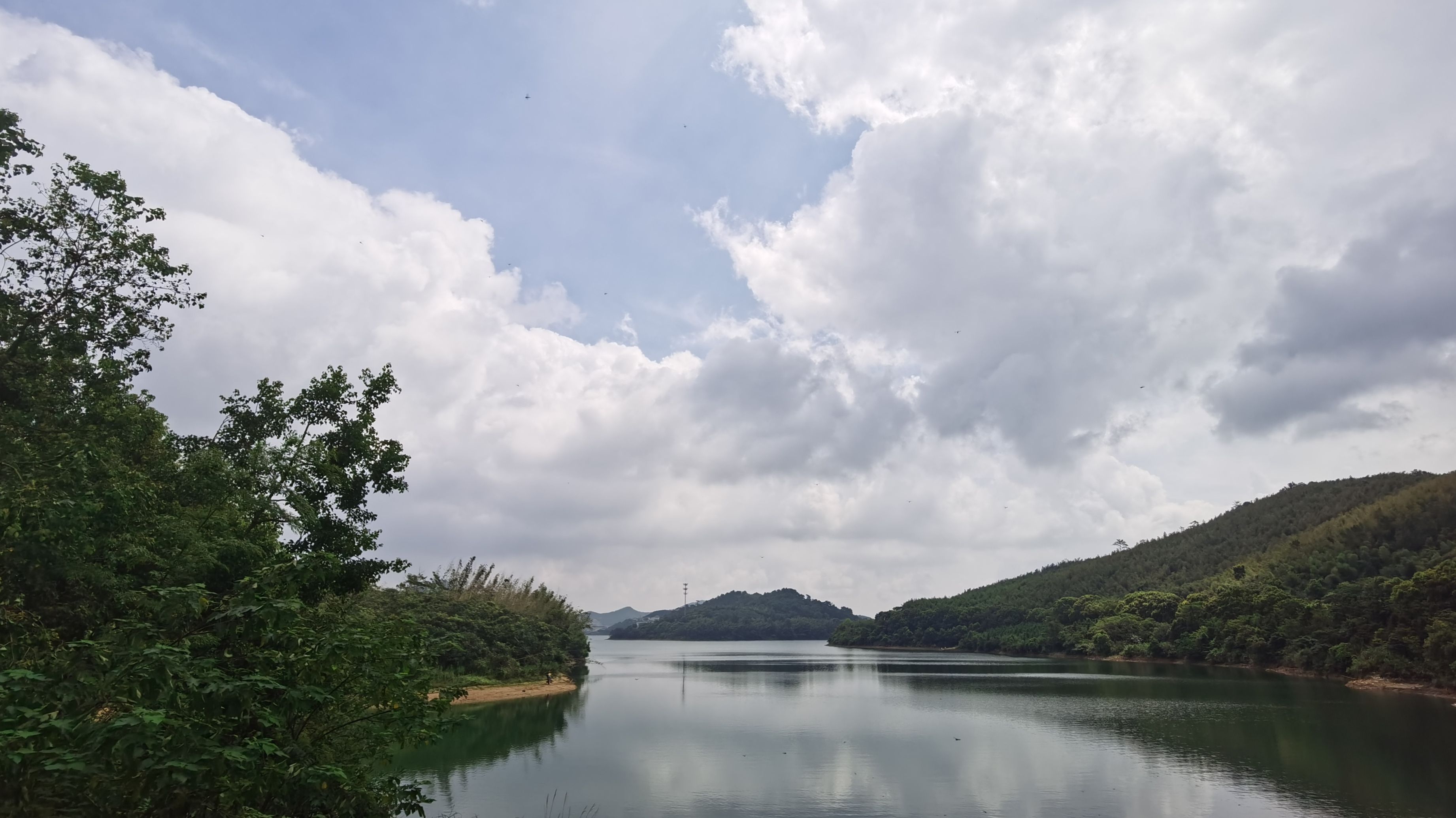 九龙湖|AI助力防溺水，隔空喊话教你垃圾分类，镇海这个村为“数字智治”配上了“聪明脑袋”