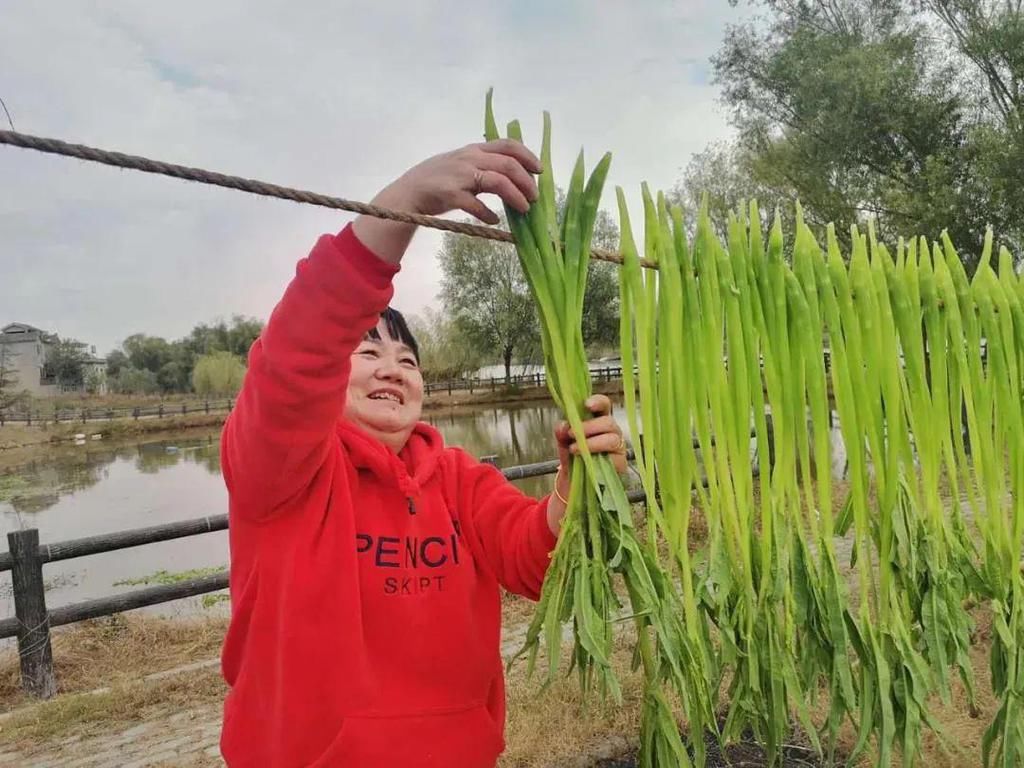  萝卜干|涡阳人过冬必须吃的“硬菜”，你最喜欢啥？