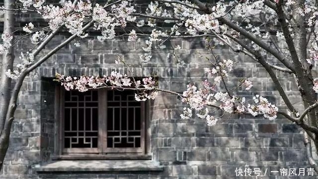 清明为什么要祭祖?这是我听过最好的答案