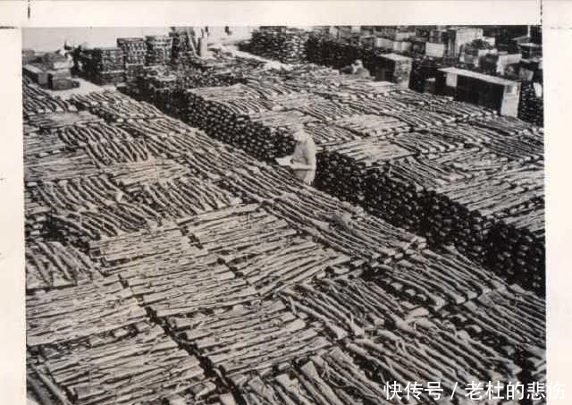 缴获|德军战败, 盟军处理缴获的武器头疼