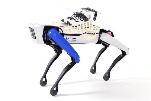 地狱入手难度！Pharrell x adidas NMD Hu 全新配色登场!