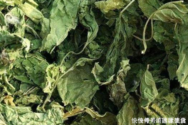 黃褐斑|40歲阿姨長斑十幾年，一片樹葉就搞定，效果好不花錢，告別黃褐斑