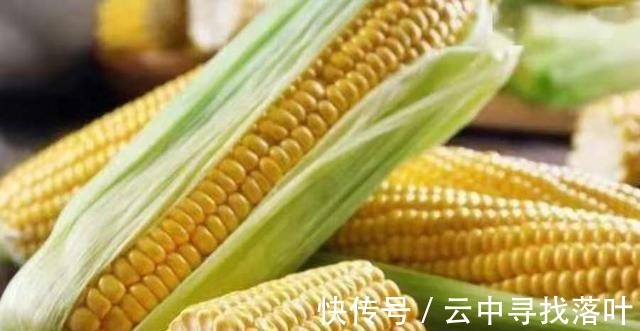 曲酒|高温天一到,唯独这鲤鱼饵才最可靠,十人有九人还不知,莫泄露哦!