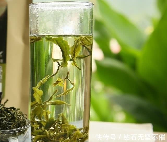 普洱茶|高血压高血脂怎么办?路边不值钱的它泡水喝,血脂血压悄悄降下来