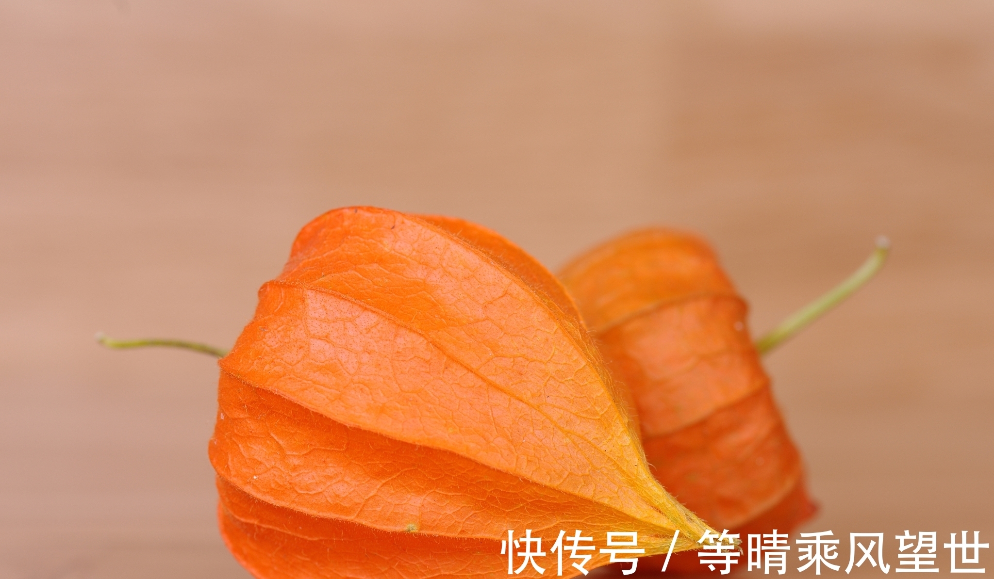 “普信男”火了！