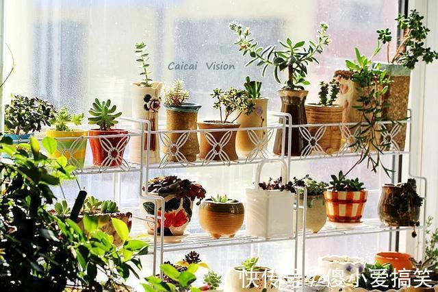 花园|3平米小阳台,也能变花园,有露台、阳台的千万别浪费!