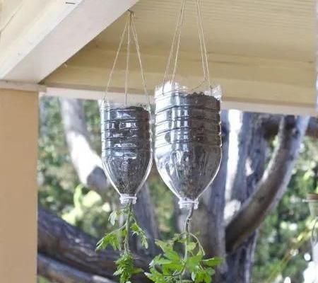 植物|没地种花种菜,没时间浇水几个塑料瓶就能解决,DIY变废为宝