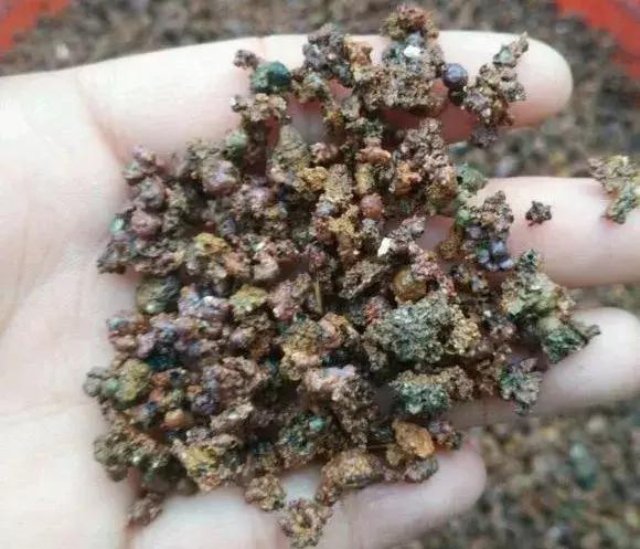 什么腐叶土、营养土,比不上“一窝煤”,养花不烂根,易爆盆!