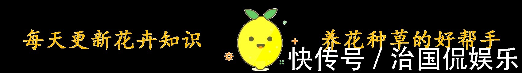 浇花|再好养的花,也不能这么浇水,正确方法要知道!