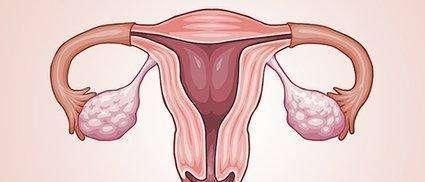 y性染色体|排卵期受孕的准妈妈,更容易生男孩儿,这时真的吗