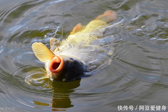 70岁的大爷,钓鱼也许是幌子,人家玩的是装备,件件价值不菲