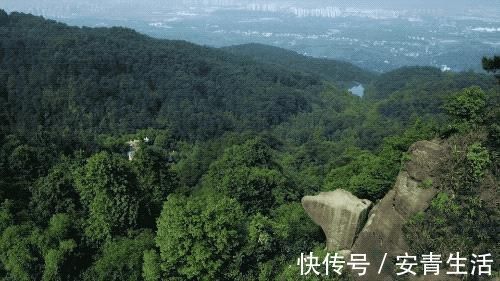 大堰塘|一家四口隐居深山中,三年无经济收入,他们凭什么生存