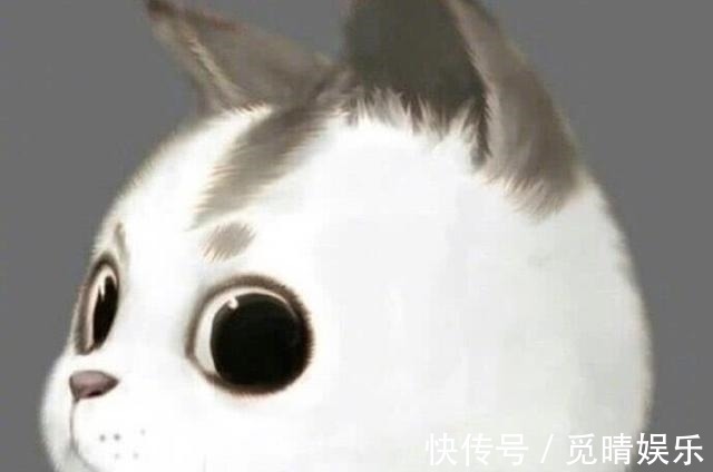 情头|假装不像情侣的“情头”:将纸墨铺展,画一段不期而遇的表白