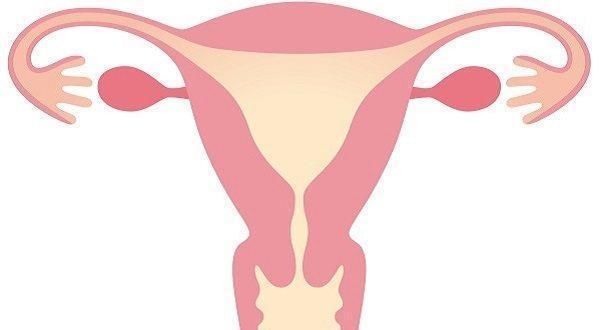 卵泡期|排卵期女性身体4大变化准确计算排卵期这样才科学