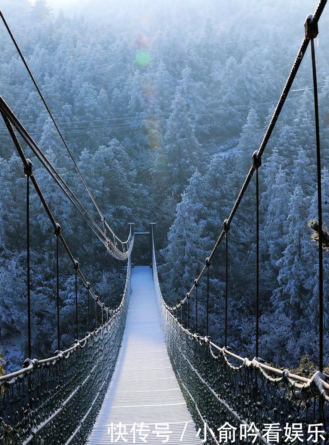 雪景|遂昌大美雪景图！让你一次看个够