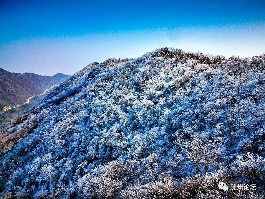 游人|大洪山冰雕奇观！银装素裹·玉树琼枝·游人络绎！