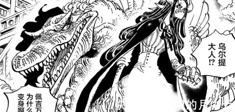 笹木|海贼王飞六胞为何希望疫灾奎因死呢火灾烬一语道破