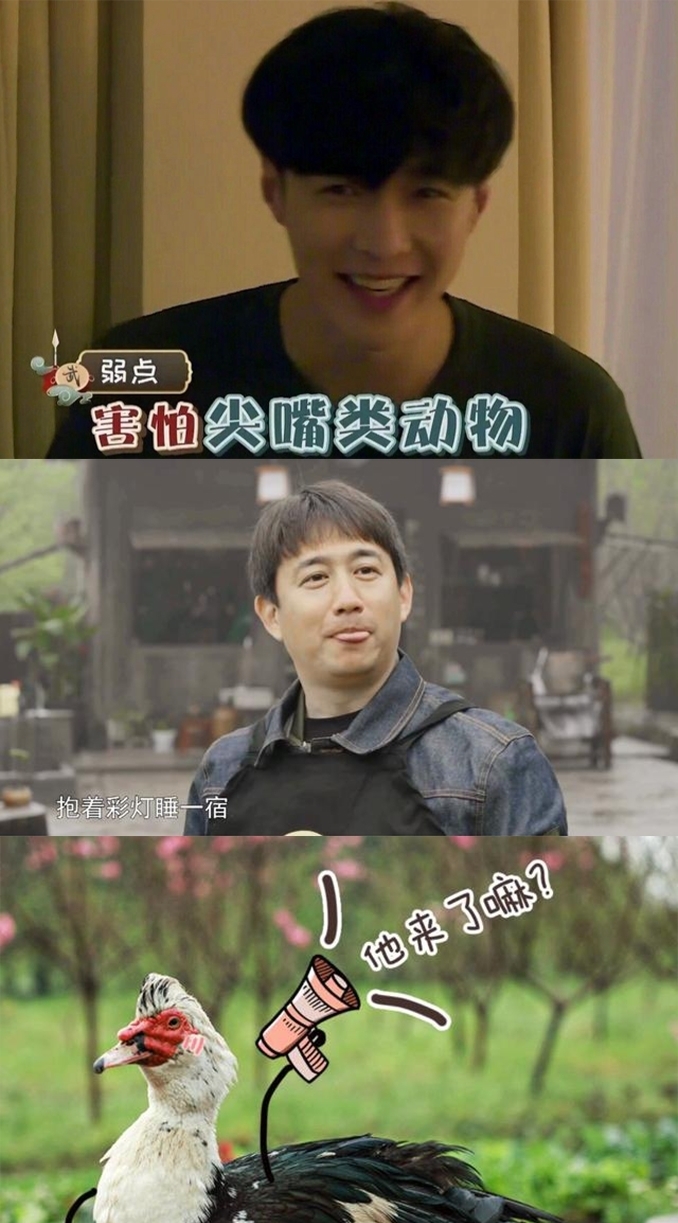 《向往的生活5》難度加大,張藝興加入,與黃磊師徒聯手智斗導演