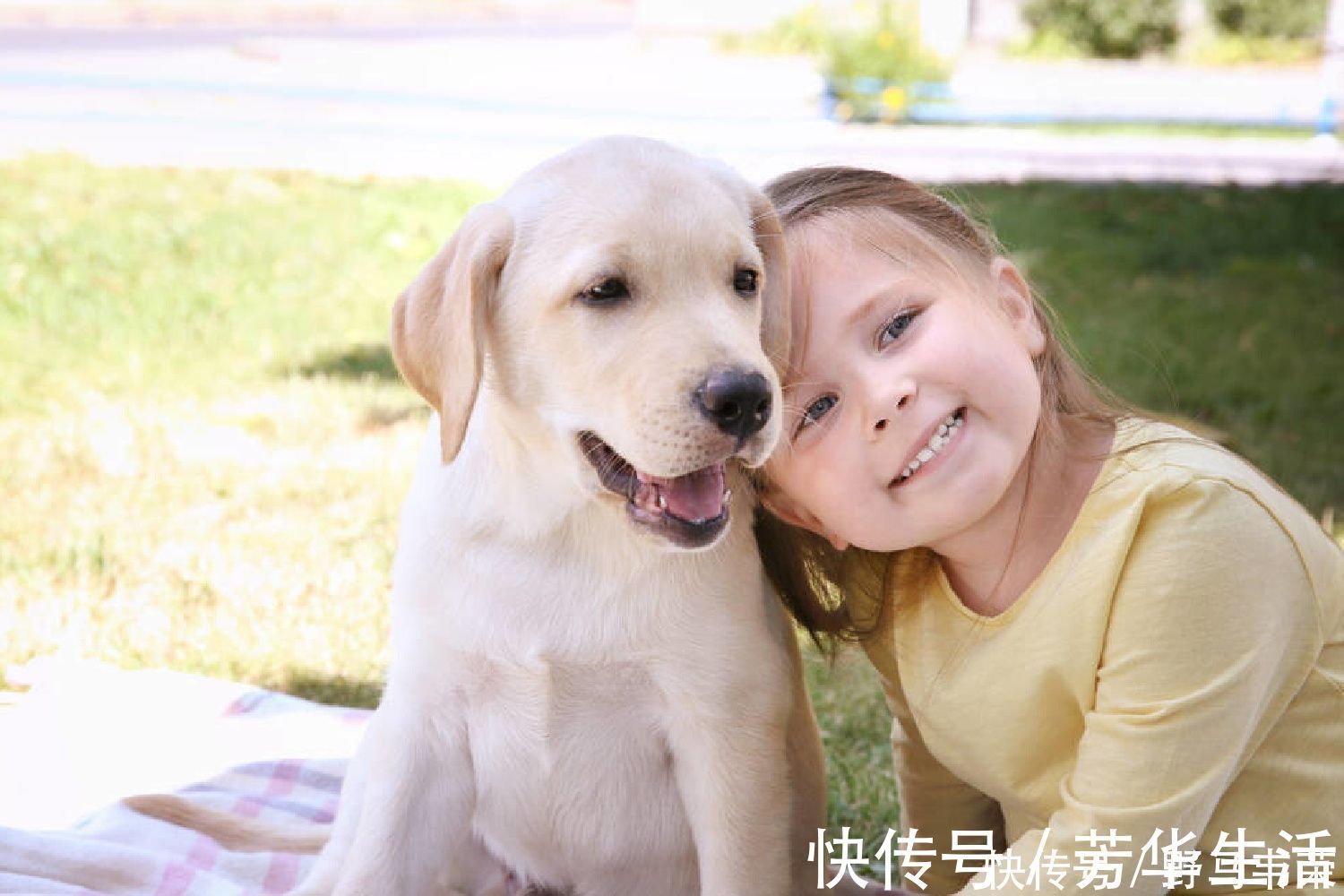 小宝宝|父母生活中做到这些细节,宝宝少生病,照顾孩子要会抓源头