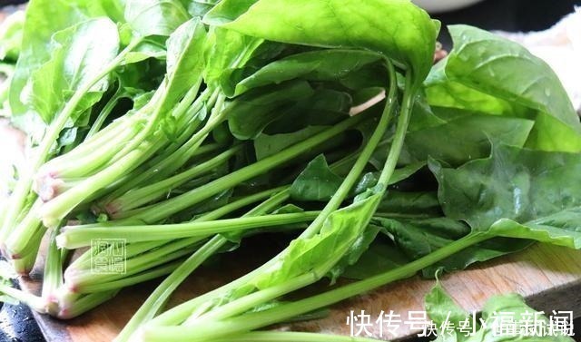 茎部|买菠菜时,遇见这4种菠菜扭头就走,菜贩子从来不吃,你买他偷笑