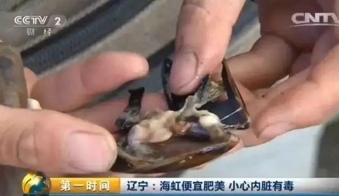 河北1市緊急提醒：這種常見海鮮近期勿食！此前已致多人中毒…
