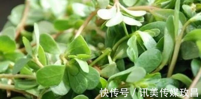 炎症|比“抗衰”更重要!它才是日常护肤的刚需,很多人都做错了