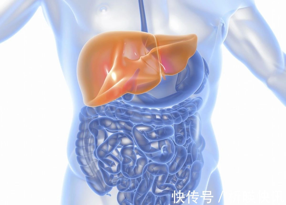 肝脏健康|肝不好的人,会出现5个异常,养肝坚持“三步走”,肝好你更好