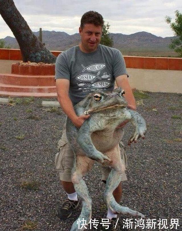 24张“活久见”生物照,仿佛来自另一个星球