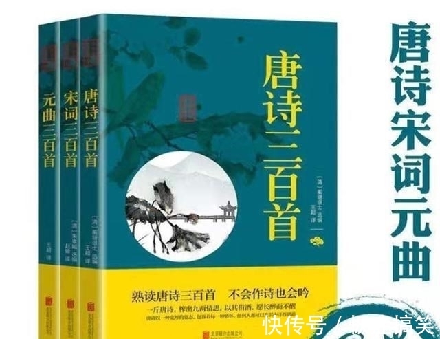 这首诗|《人民日报》评中国历史上最高水平10首诗词之《登高》杜甫