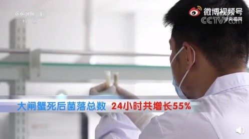 死蟹|“死蟹到底能不能吃”上热搜！网友吵翻